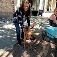 Ogden woman, spurred by recent dog-hoarding case, hosting dog adoption event in Roy