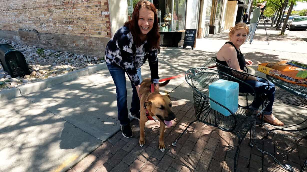 Lisa Peterson, pictured in Ogden on May 8, organized a dog adoption event set for Sunday, May 18, in Roy. She was motivated by the recent dog hoarding case in Ogden.