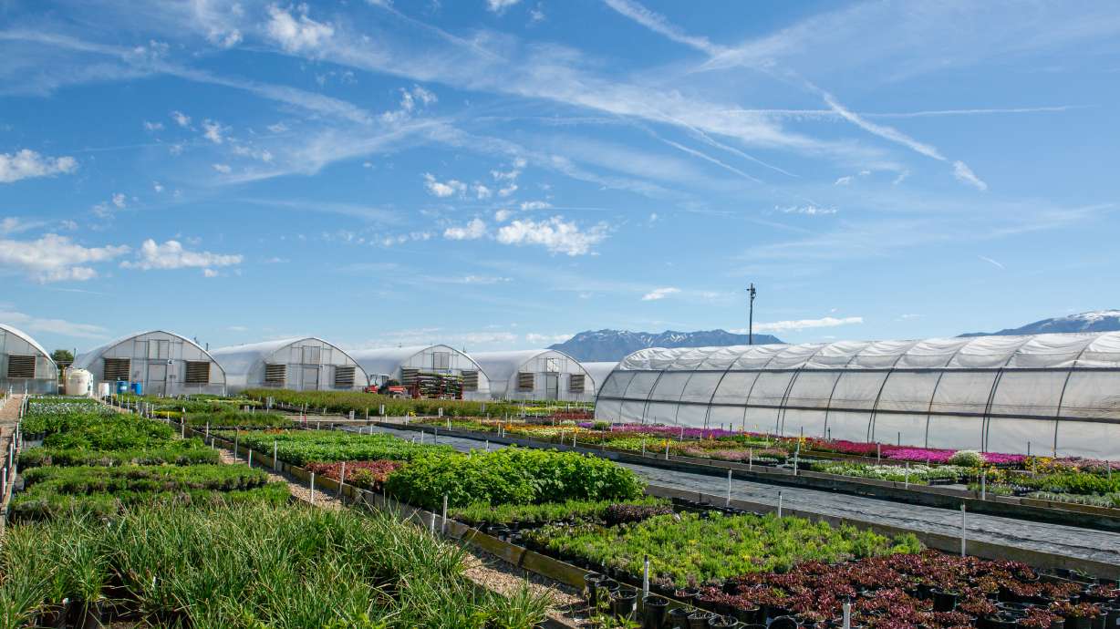 Greenhouses and fields are pictured around Perennial Favorites in Layton on Thursday. Energy tax credits that provide valuable relief to Utah business owners and municipalities alike are at risk of being sunsetted by House Republicans.