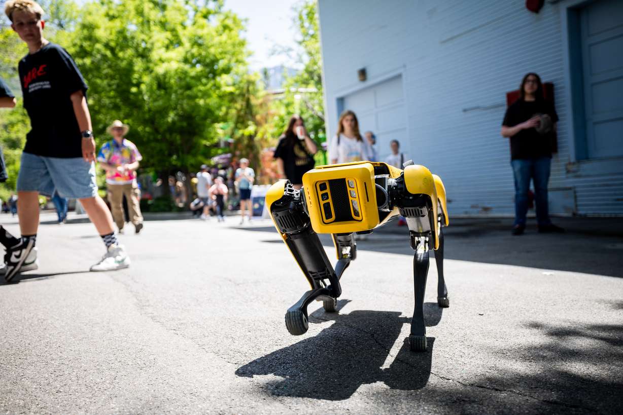 Students watch as a Boston Dynamics Spot Robot walks on the sidewalk at USU Physics Day at Lagoon in Farmington on Friday.