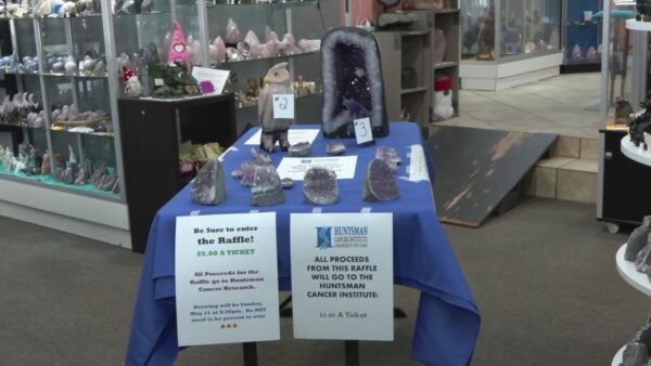 South Salt Lake business owners, cancer survivors raising money for research 
