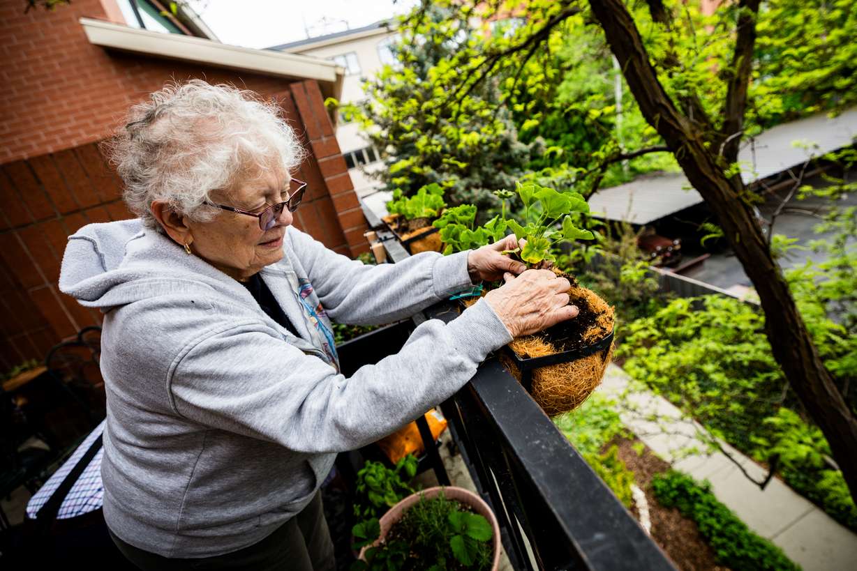 Sharl Karpf, 84, plants geraniums in the raised beds on her patio garden at her home in Salt Lake City on May 5.