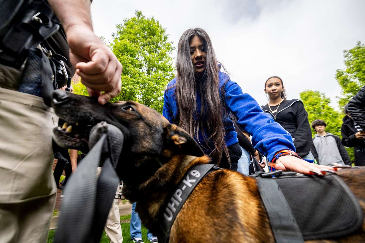 East High School senior Alondra Noriega pets Javi, the K-9 companion of Utah Highway Patrol officer Jeff Blankenagel, during the first Find Yourself in Utah Law Enforcement Career Day held outside the Peace Officers Standards and Training Center on Salt Lake Community College’s Miller Campus in Sandy on April 30.