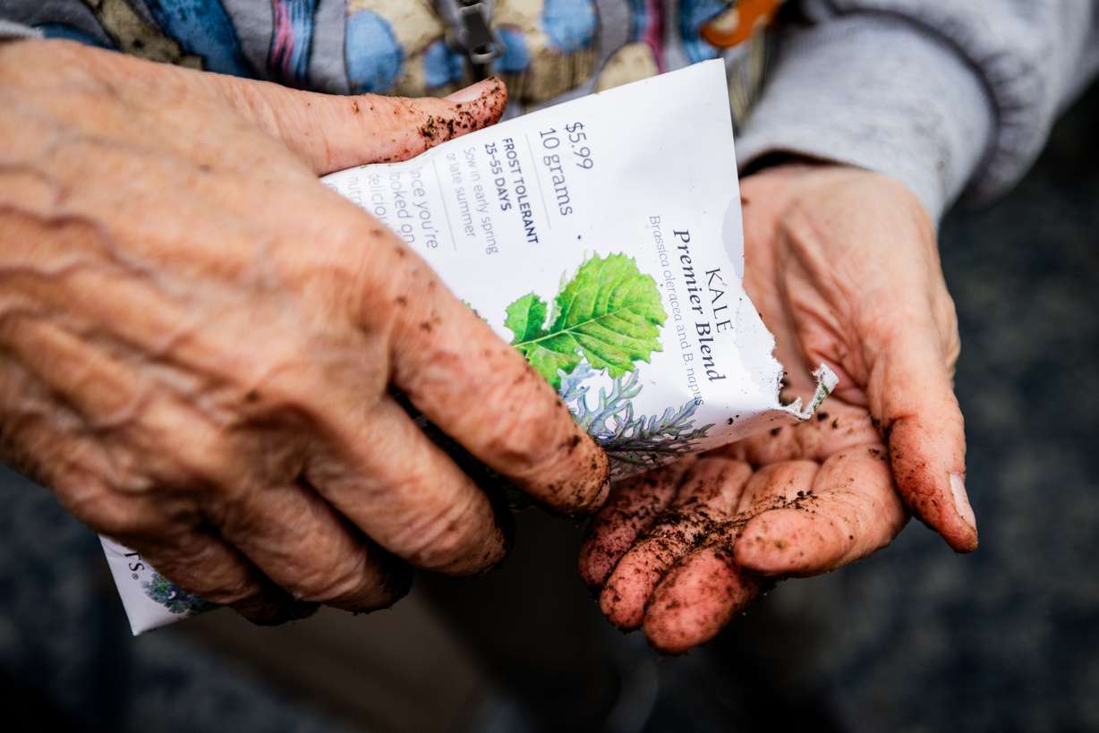 Sharl Karpf, 84, plants kale seeds in her patio garden at her home in Salt Lake City on May 5.