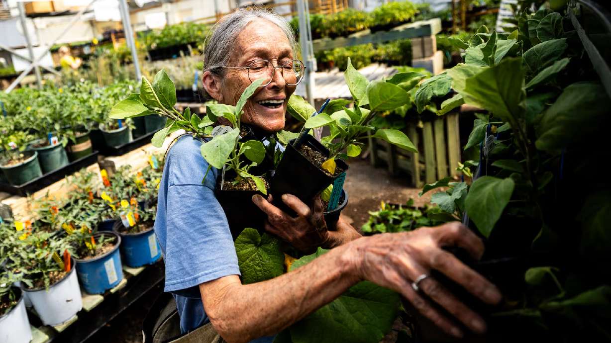Leyann Sandoval shops for eggplant at Millcreek Gardens in Salt Lake City on April 25. Sandoval is purchasing vegetables for her garden and her mother’s garden. There are a variety of benefits you can gain from gardening.