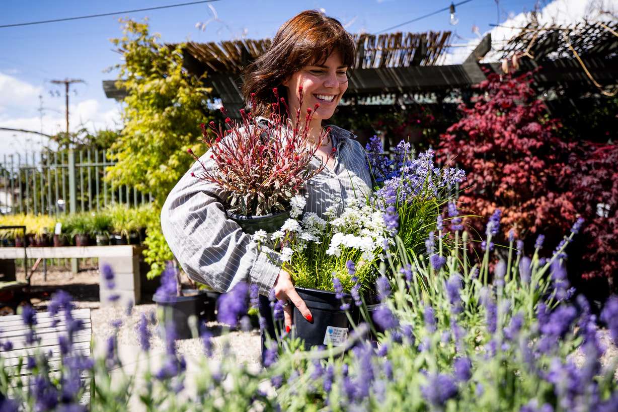 Jenny Cushing shops for flowers at Cactus & Tropicals in Salt Lake City on April 25.