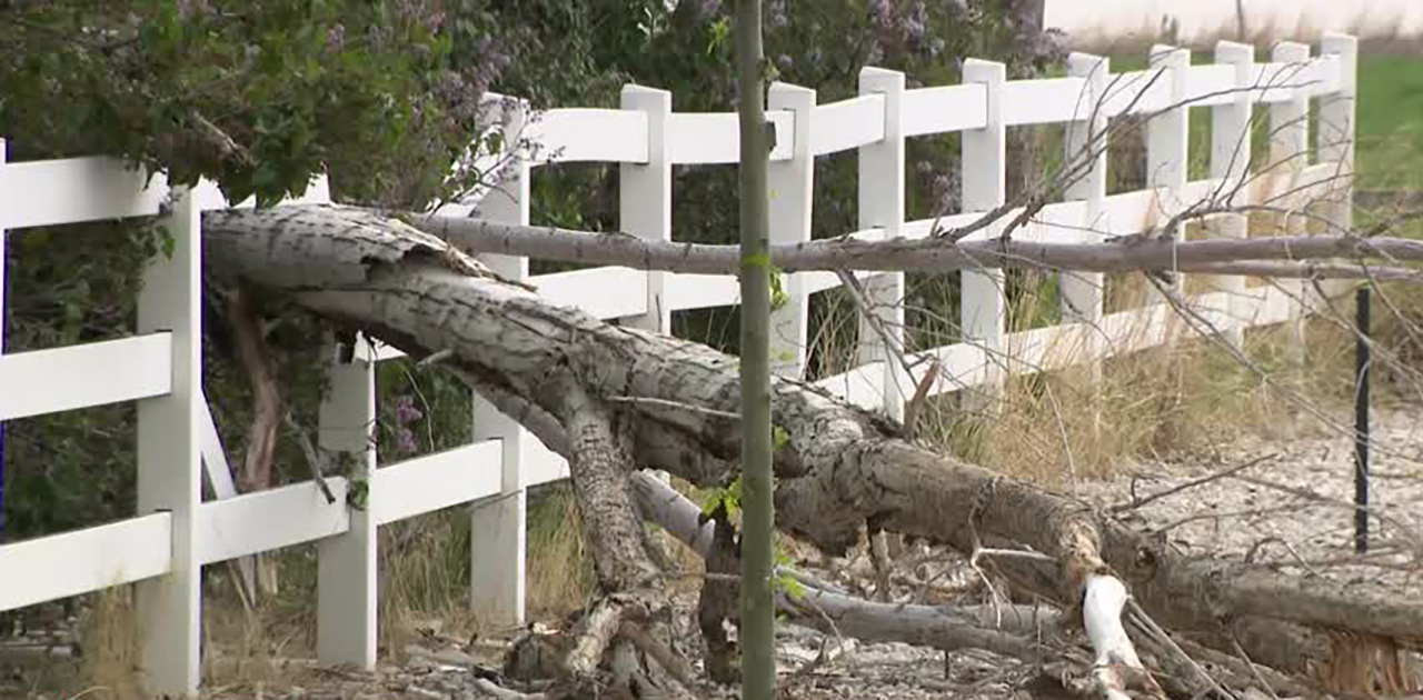 Strong wind gusts cause damage in Tooele County