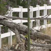 Strong wind gusts cause damage in Tooele County