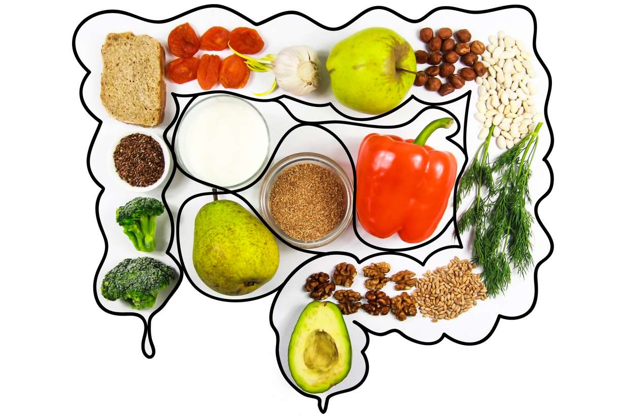 Building new connections between gut health and wellness