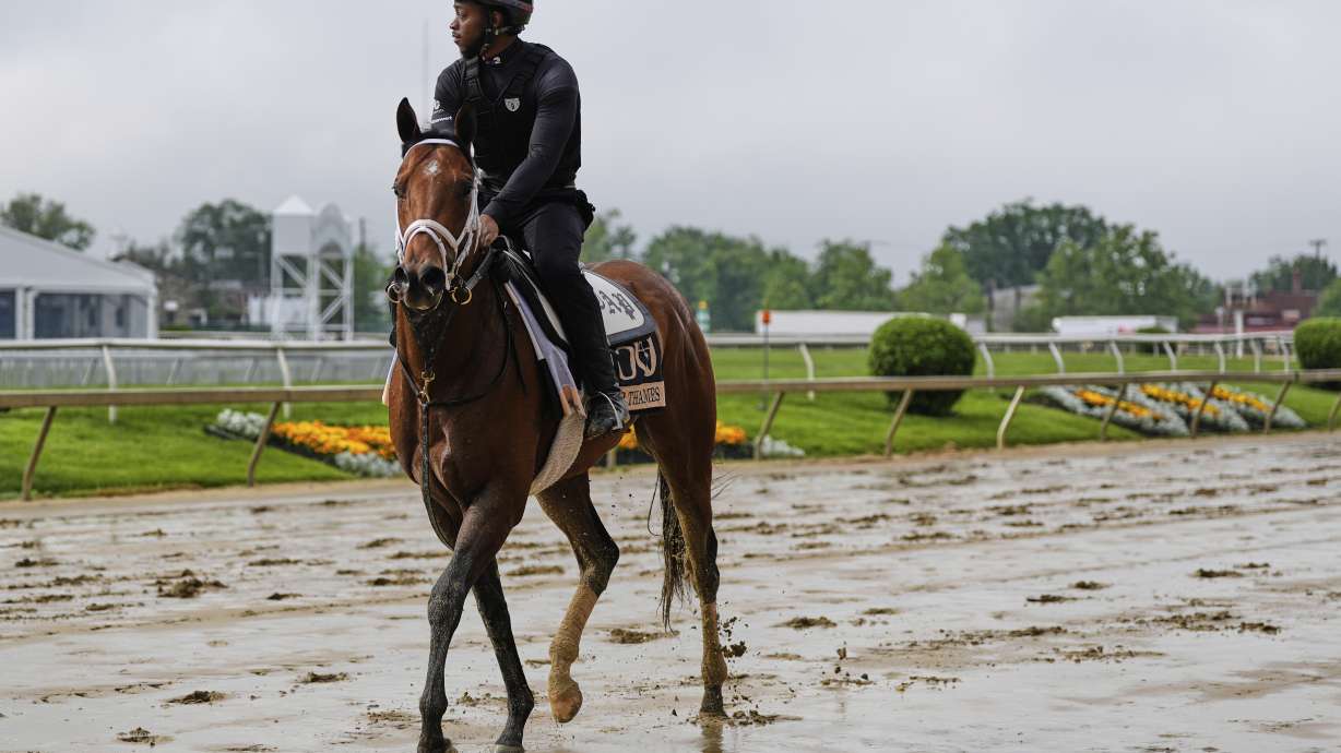 Preakness Stakes entrant River Thames works out at Pimlico Race Course, Thursday, May 15, 2025, in Baltimore.