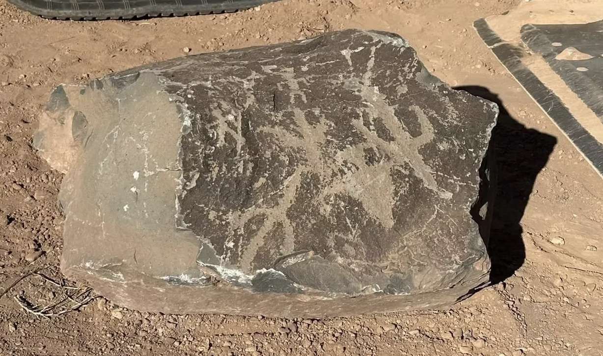 An undated photo of petroglyphs found in Washington County. Preservation Utah says ancient rock art continues to be threatened by development in the area.