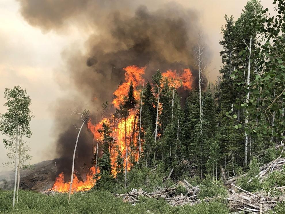 Will increased logging help ease southern Utah's wildfire crisis or exacerbate the issue?