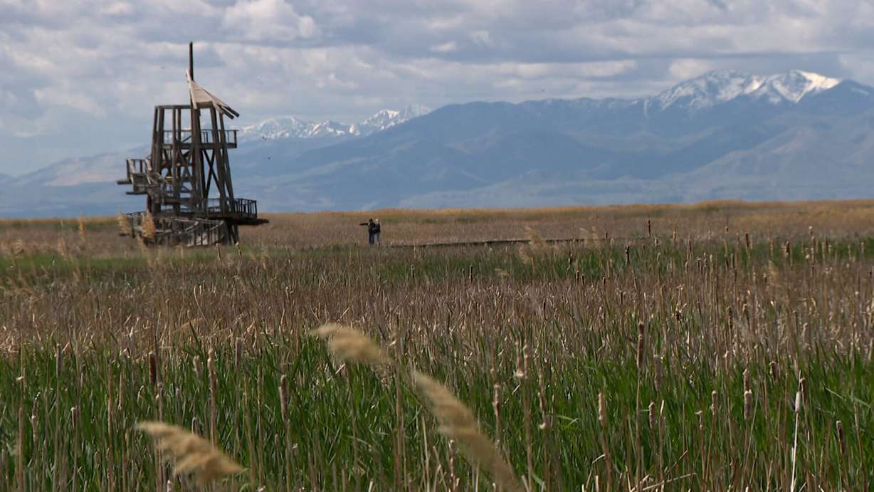 An overlook tower on The Nature Conservancy’s Great Salt Lake Shorelands Preserve.