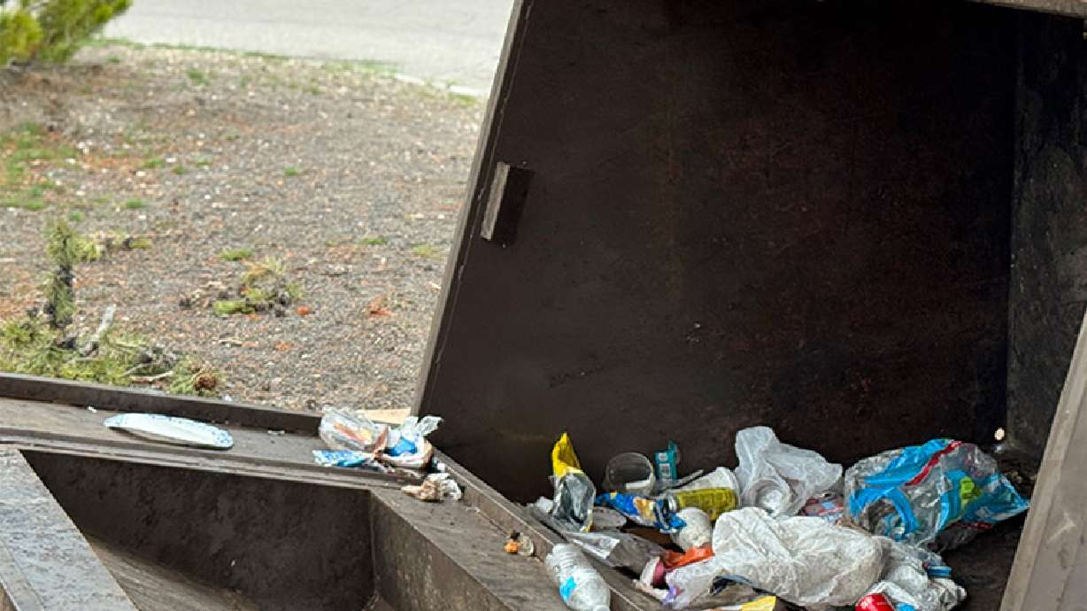An overturned bear-resistant recycling container is seen in Yellowstone National Park Wednesday. A bear was trapped and killed after it tipped over several dumpsters and took food and trash.