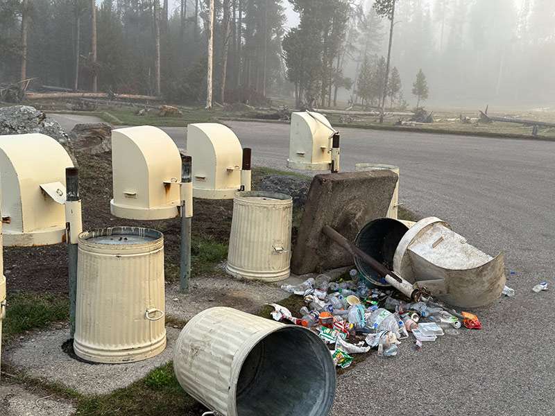Bear-resistant containers are seen at Yellowstone National Park. A bear was trapped and killed after it tipped over several dumpsters.