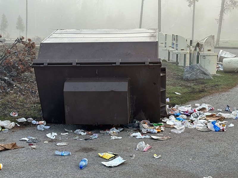 Falled bear-resistant garbage containers can be seen in the Nez Perce Perce Picnic area of ​​Yellowstone National Park. A bear was caught and killed after he had over several dumpsters and took food and garbage.