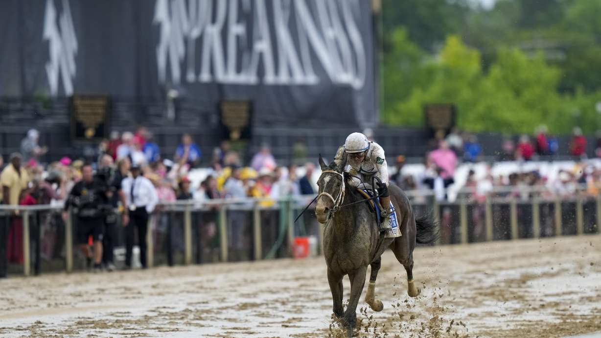 Margie's Intention, with jockey Flavien Prat, wins the 149th running of the Black-Eyed Susan horse race Friday, May 16, 2025, in Baltimore.