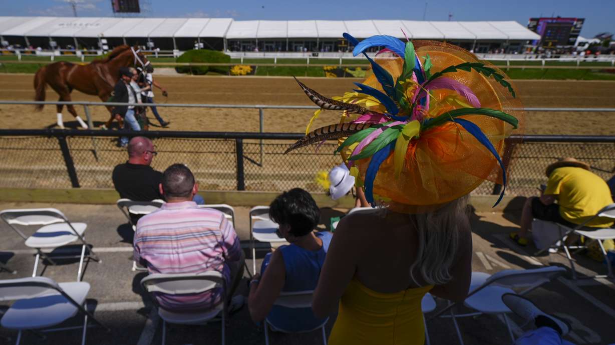 Brandy Lee, of Delray Beach, Fla., wears a decorative hat as a horse parades ahead of the 150th running of the Preakness Stakes horse race Saturday, May 17, 2025, at Pimlico Race Course in Baltimore.