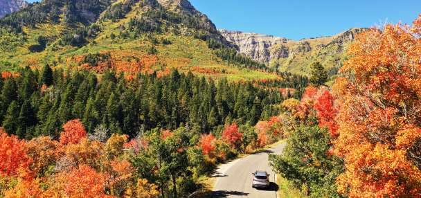 Skip the crowds: 6 underrated places to experience fall in Utah