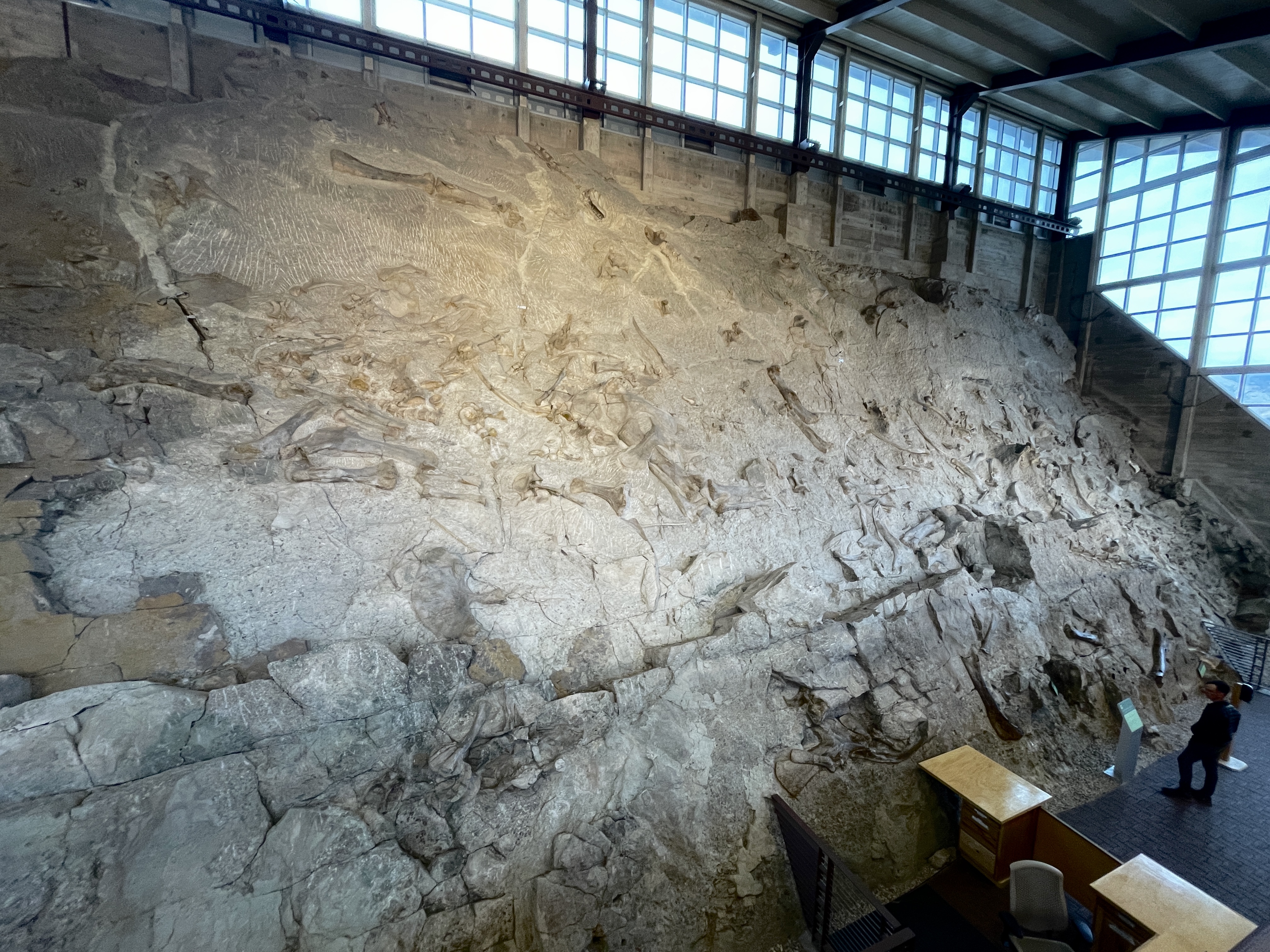 Dinosaur National Monument on Nov. 6, 2022.