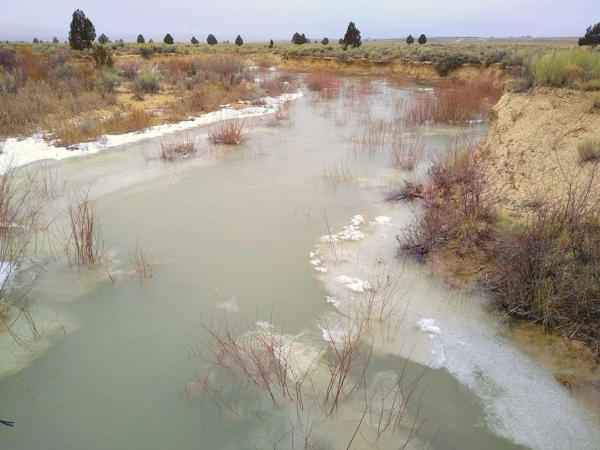 Icy water flows down East Fork Sevier River under East Fork Road near Ruby’s Inn on Feb. 13.