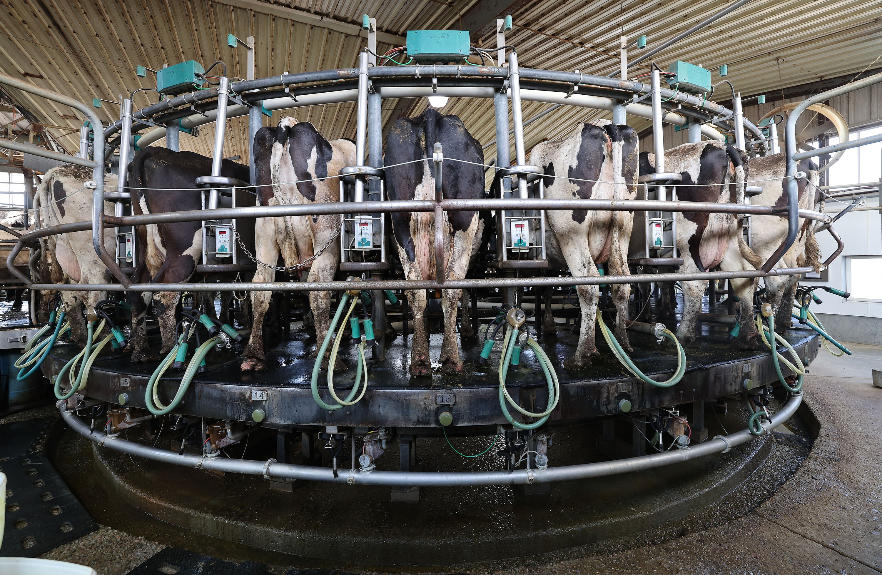 Sen. Mike Lee proposes new protections for farmers