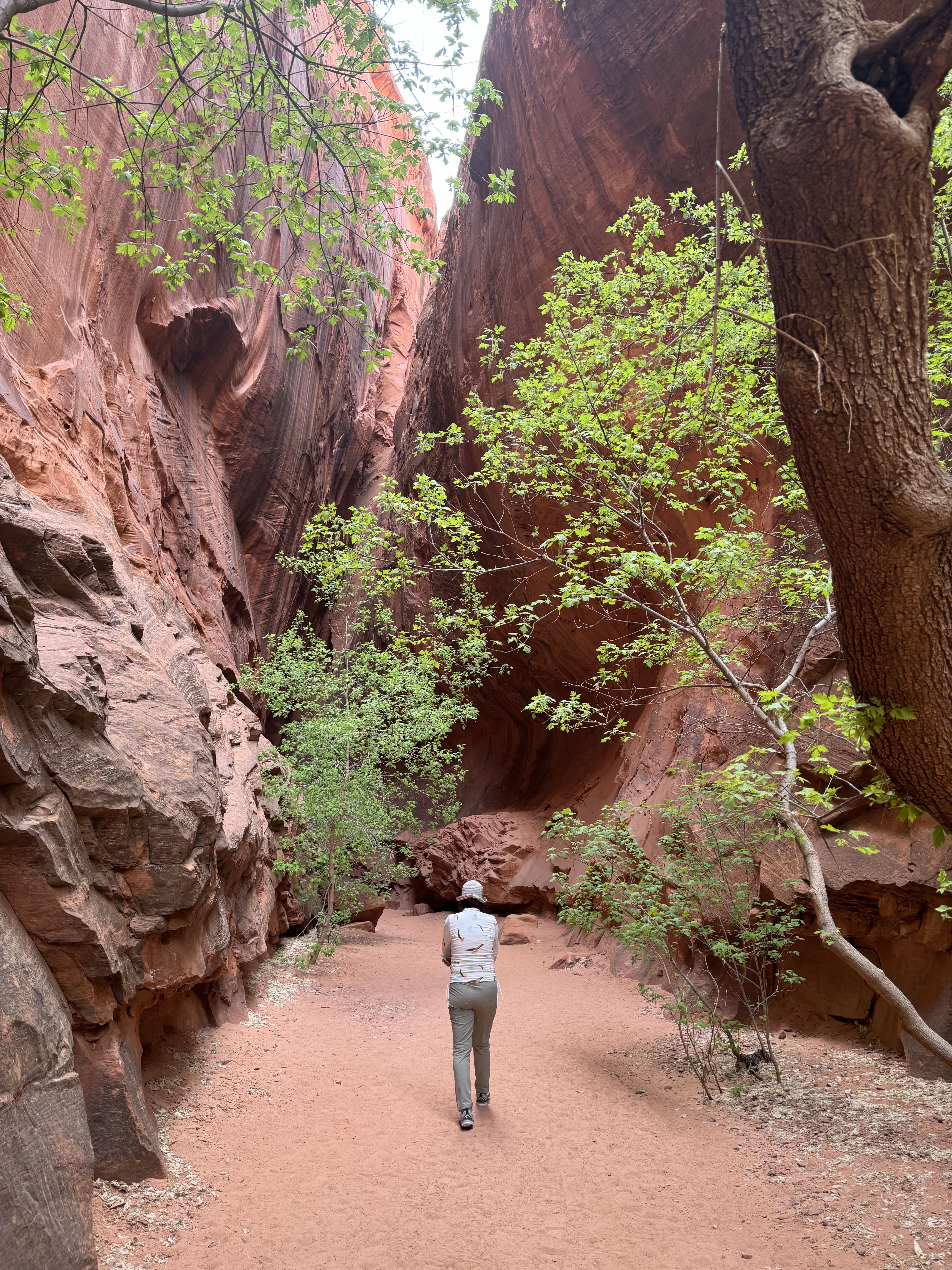 The canyons of the Escalante: A hidden gem in Utah
