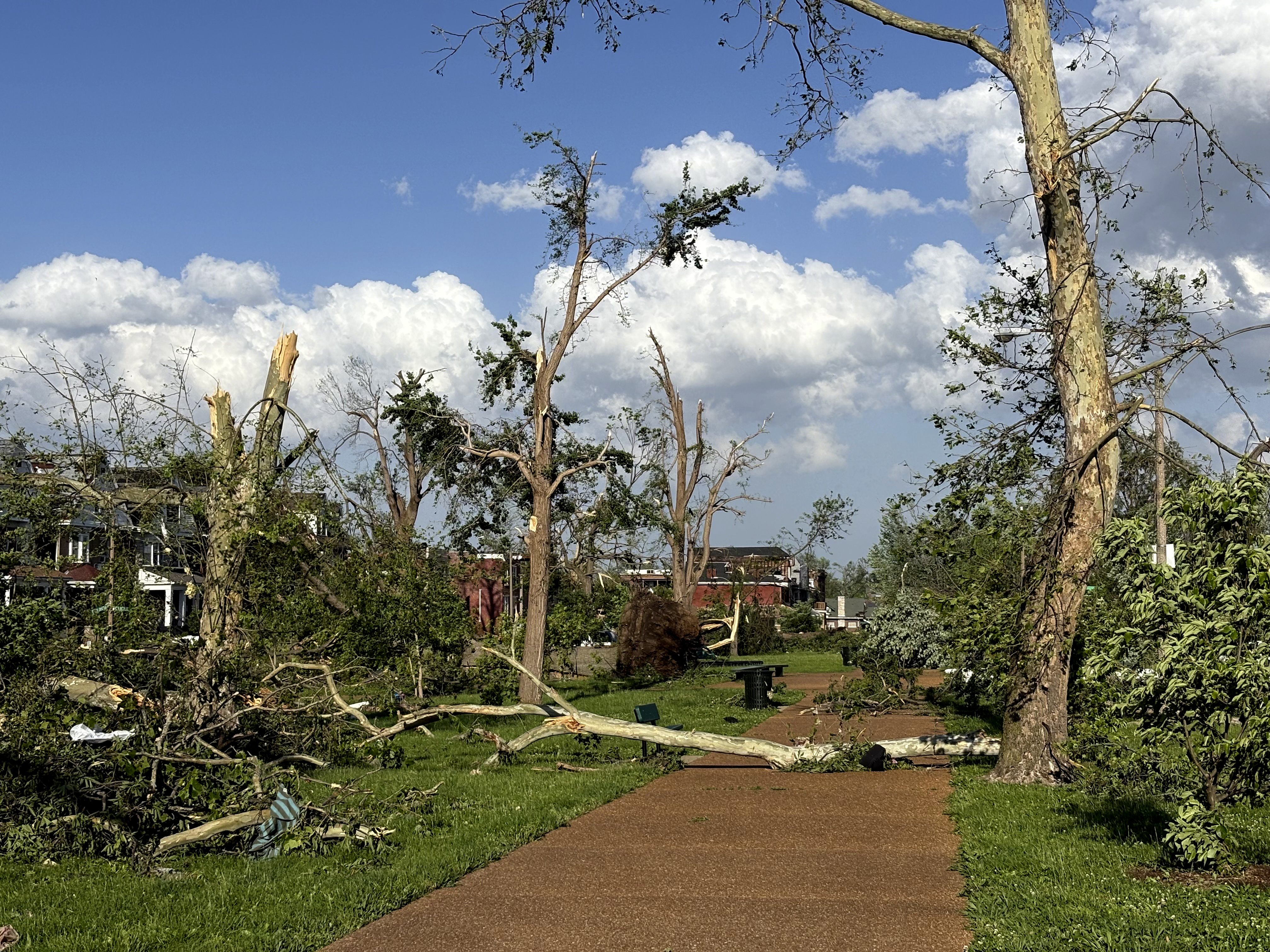 Damaged and fallen trees are seen in St. Louis, Missouri, on Friday, May 16, 2025 when severe storms, including a possible tornado, swept through the city. 