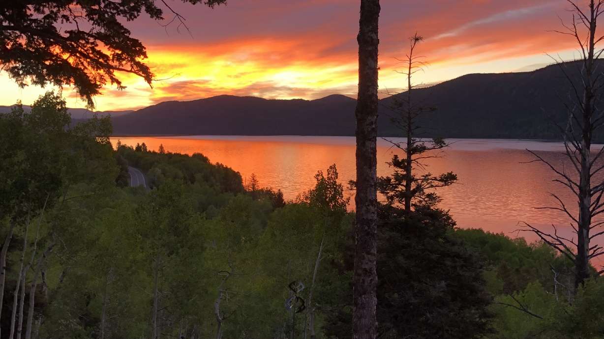 Fish Lake in Sevier County on June 27, 2019. A dog out for a walk with its owner along the Fish Lake shoreline on May 16 found not just a shoe, but one with a bone in it.