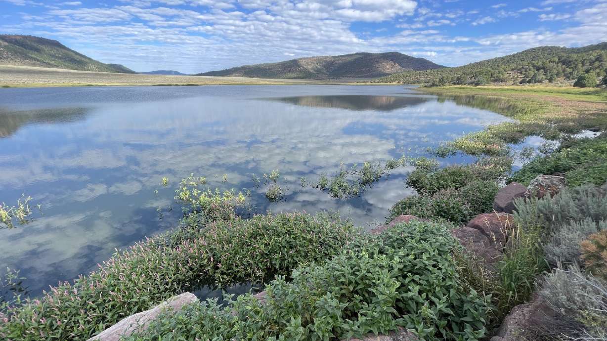 Utah wildlife managers have increased the daily number of trout allowed to be taken from Crouse Reservoir in Uintah County this year due to low water levels.
