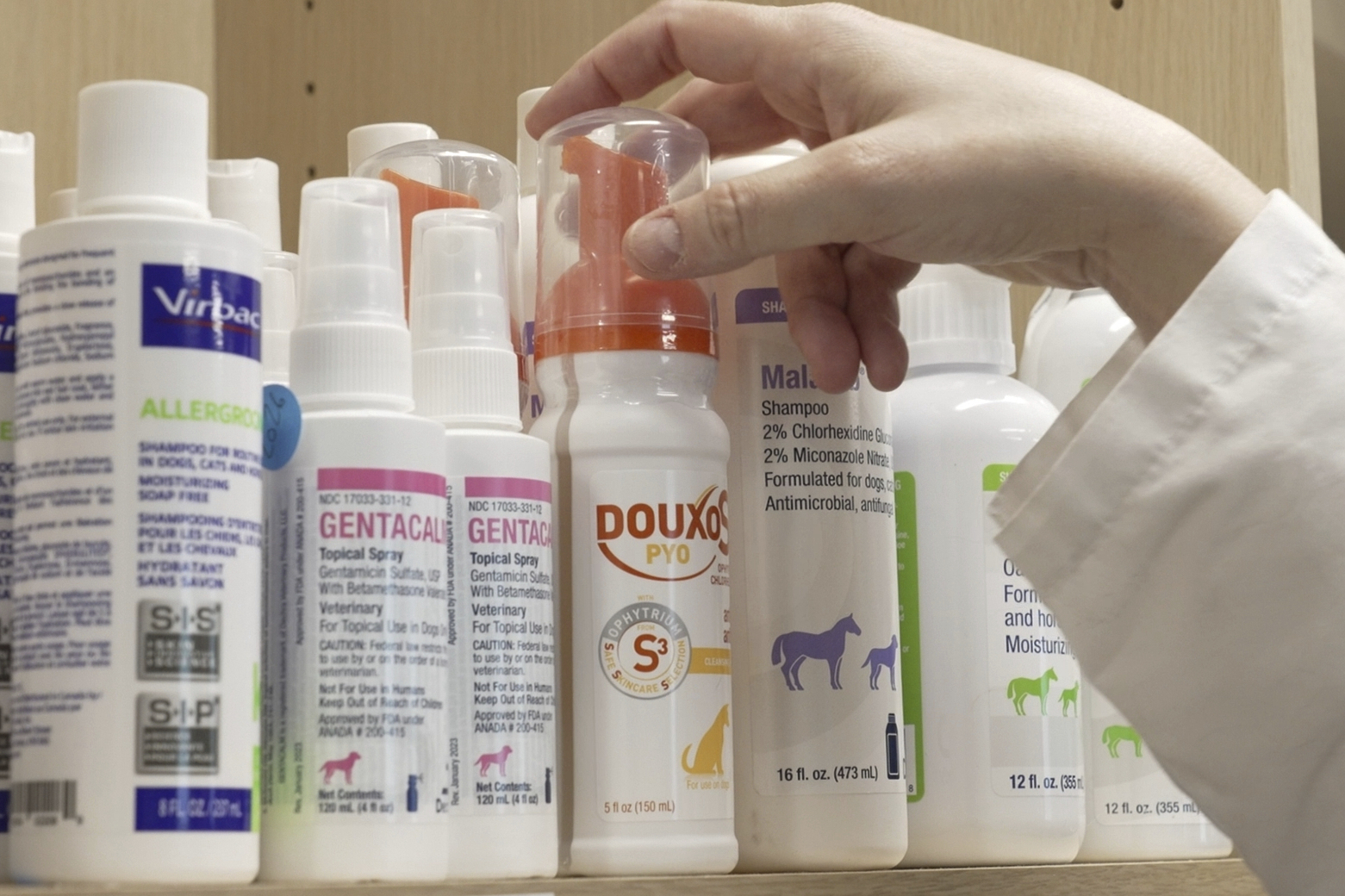 Various shampoos and cleansing products for treating allergies in pets at Thrive Pet Healthcare in Elmhurst, Ill., on May 13. Dr. Karen Woodard said a common sign of allergies, especially in cats, is "overdoing their grooming".