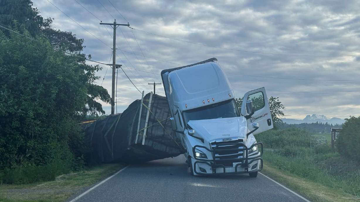 A truck hauling an estimated 70,000 pounds of honeybee hives overturned Friday near Lynden, Wash. The bees are recovering, and the driver was not hurt.