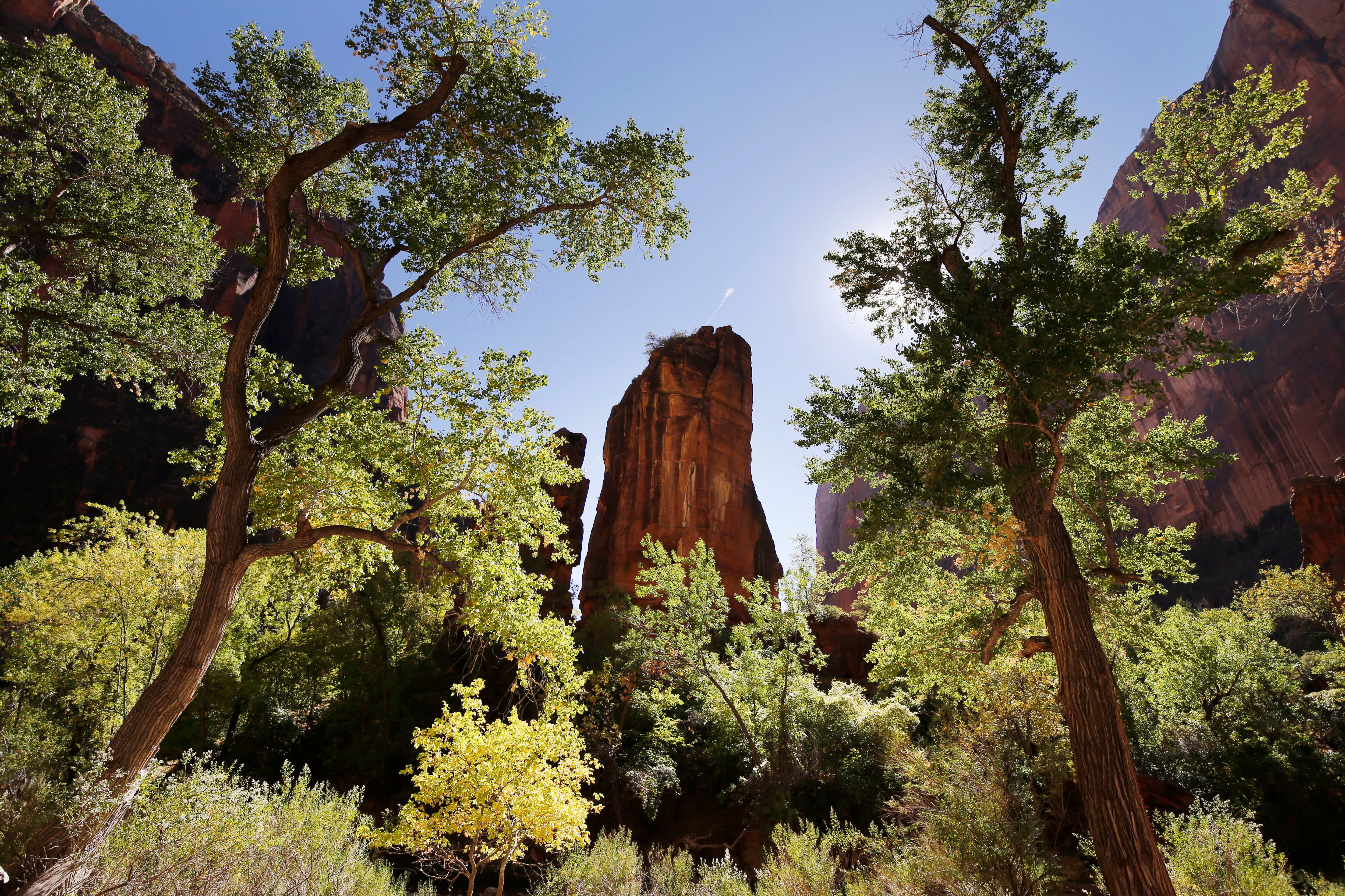 $3M awarded for Forest Legacy project north of Zion National Park