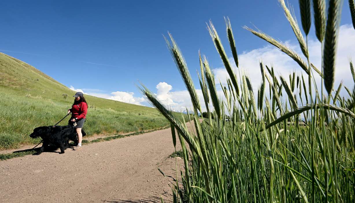 Hannah Martinez walks with her dog Finn on the Bonneville Shoreline Trail above Salt Lake City on May 27.