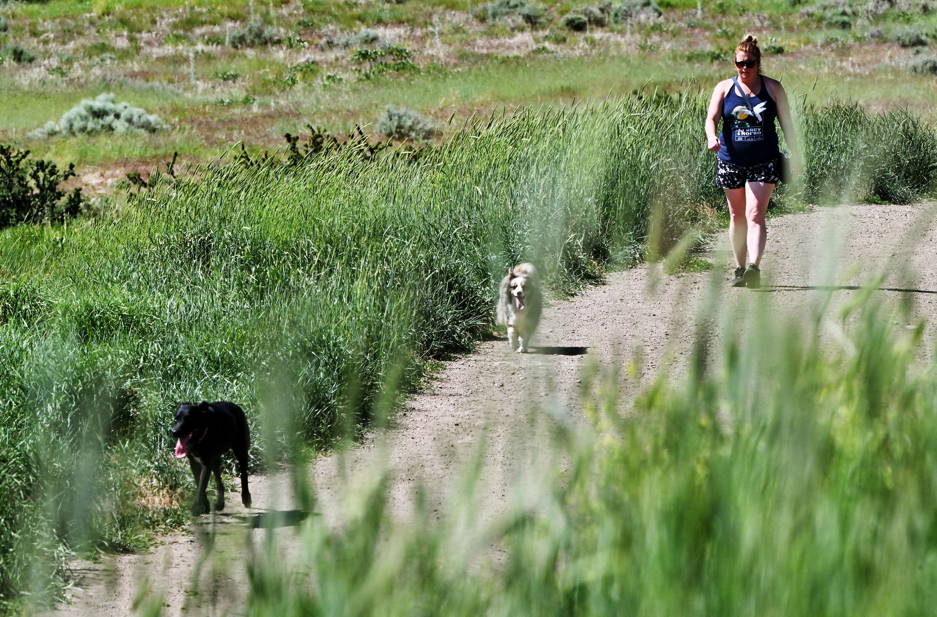 Utah directs $21M to help spur 38 outdoor recreation projects in the state