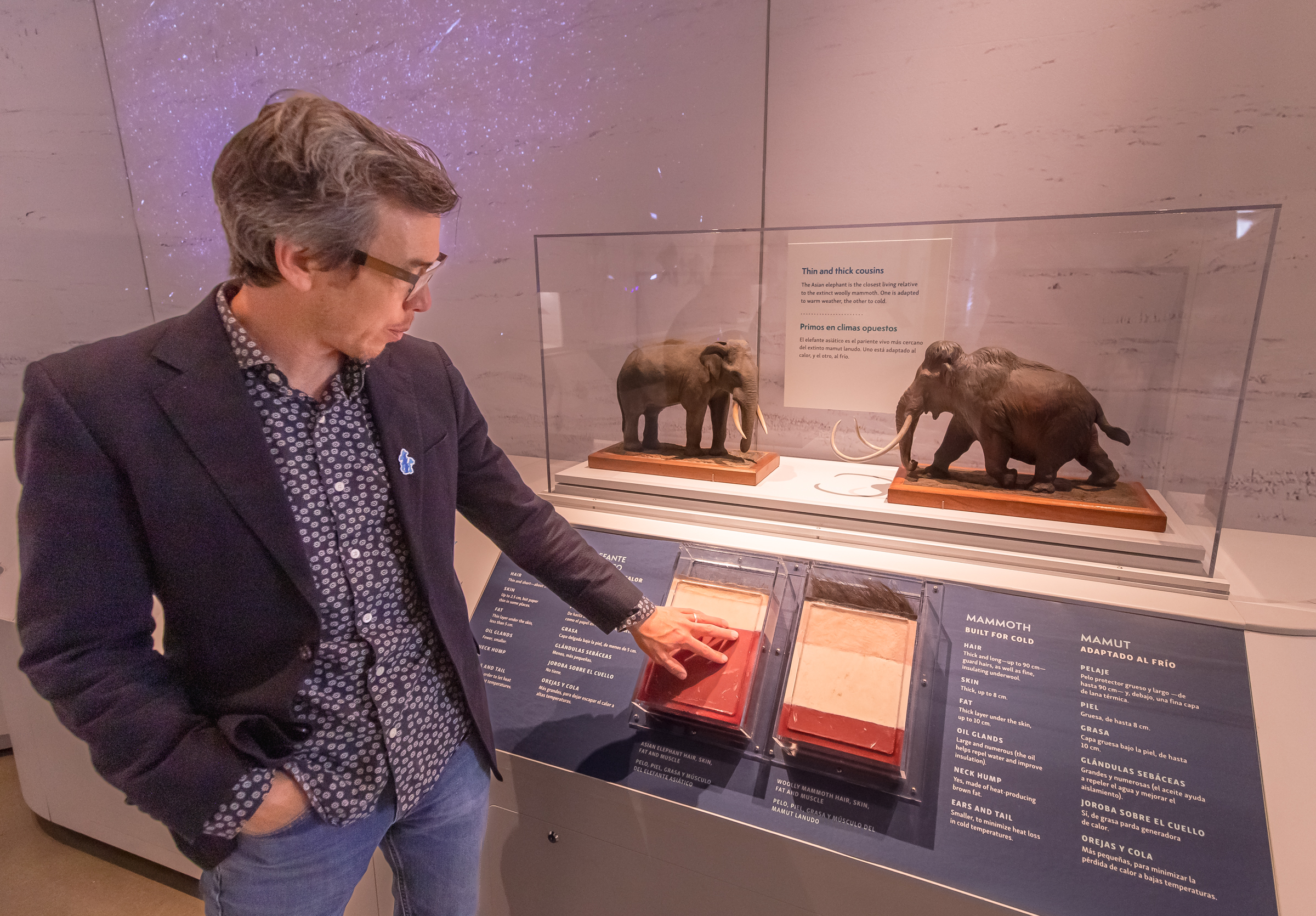 Timothy Lee, director of exhibits for the Natural History Museum of Utah, shows off a display about mammoths during a preview tour of the "Mysteries of the Ice Ages" exhibit at the Salt Lake City museum on Friday. The exhibit will open on Saturday.
