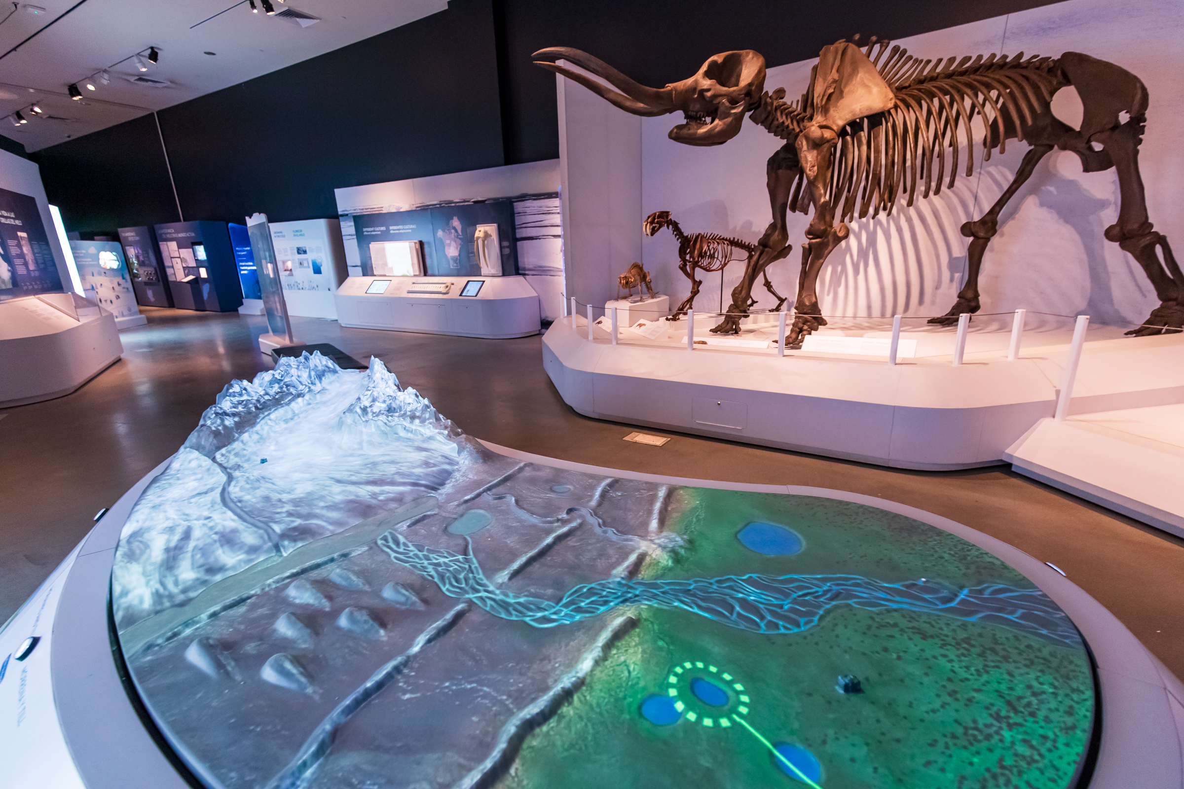 A mastodon and other prehistoric creatures are on display next to an interactive geography feature at the "Mysteries of the Ice Ages" exhibit at the Natural History Museum of Utah in Salt Lake City on Friday. The exhibit runs from Saturday through Jan. 4, 2026.