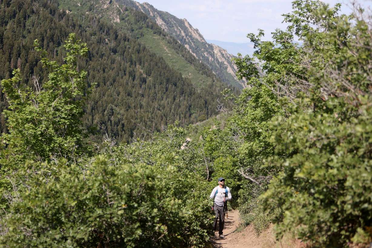 Volunteer Dan Albertson does trail maintenance work on Burch Hollow Trail, organized by Cottonwood Canyons Foundation, in Millcreek Canyon on Friday. Saturday is National Trails Day.