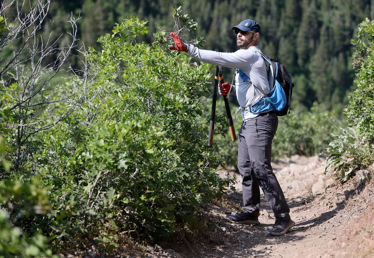 Volunteer Dan Albertson does trail maintenance work on Burch Hollow Trail, organized by Cottonwood Canyons Foundation, in Millcreek Canyon on Friday. Saturday is National Trails Day.