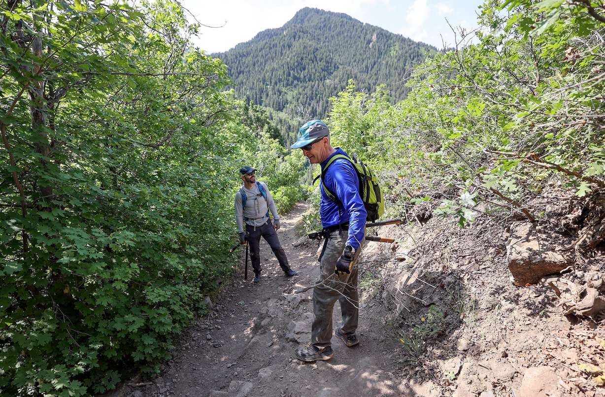 Volunteers Dan Albertson and Greg Keller trim branches and clear brush as they do trail maintenance work on Burch Hollow Trail, organized by Cottonwood Canyons Foundation, in Millcreek Canyon on Friday. Saturday is National Trails Day.