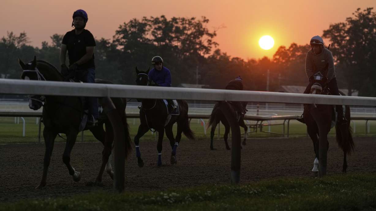 The sun rises over training horses at the Saratoga Race Track, before running of the Belmont Stakes horse race, in Saratoga Springs, N.Y., Thursday, June 5, 2025.