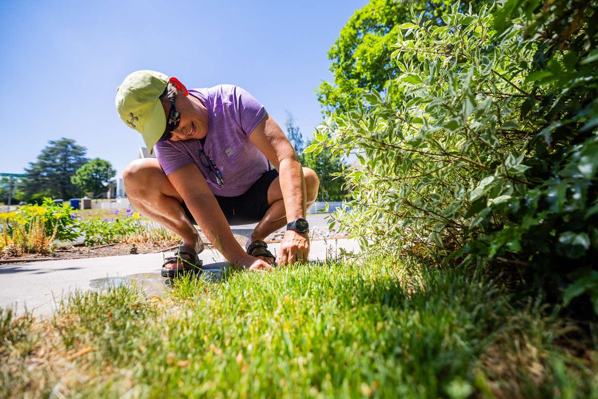 Connie Poss changes a sprinkler head at her home in the Capitol Hill neighborhood in Salt Lake City on Monday.