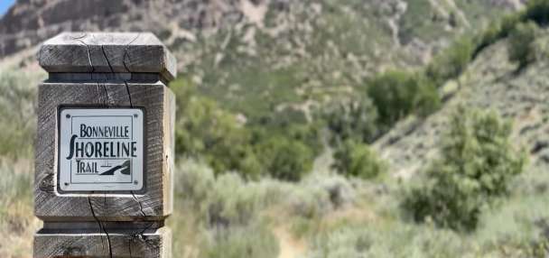 Top Features story anchor