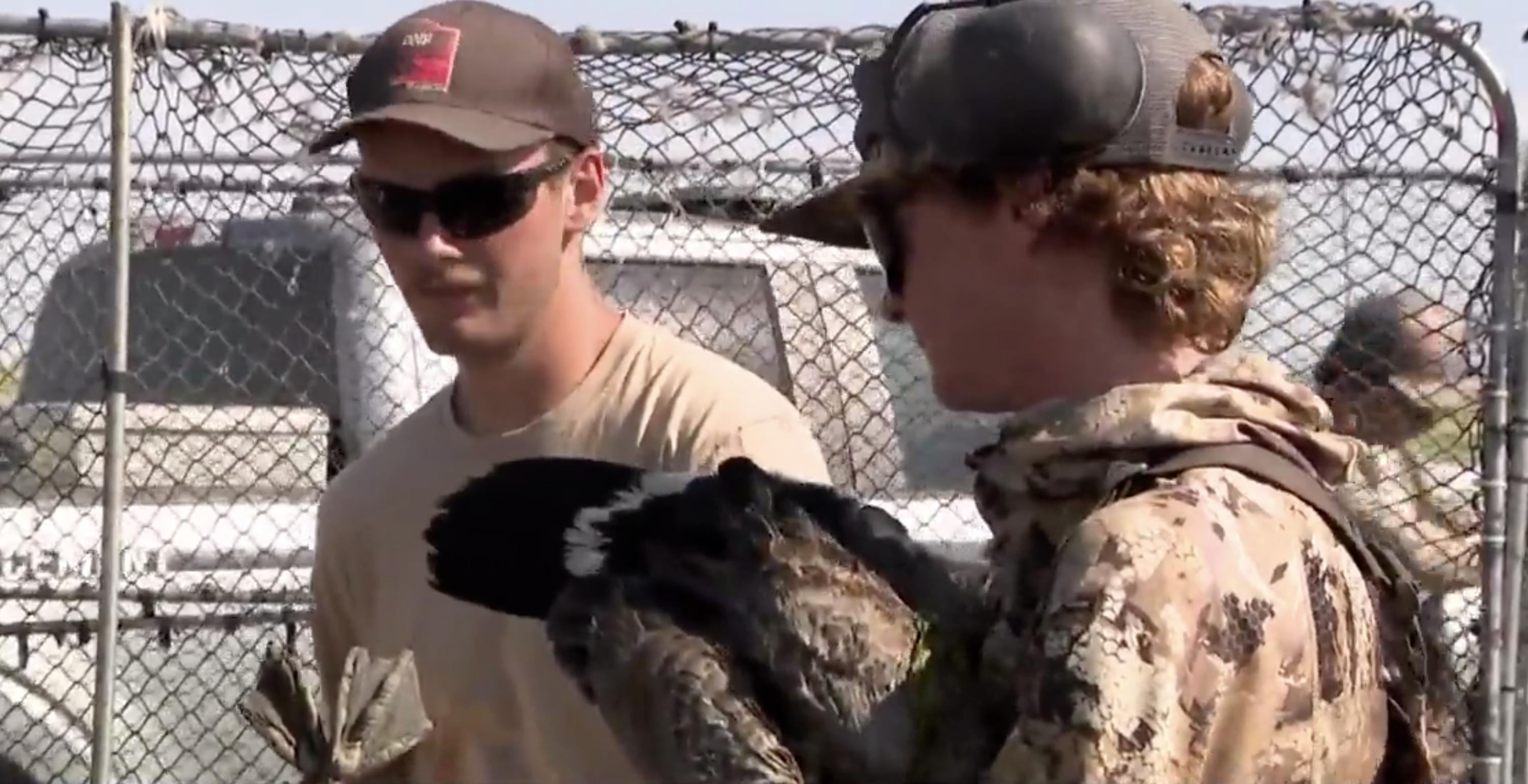 Utah wildlife staff out on a wild goose chase