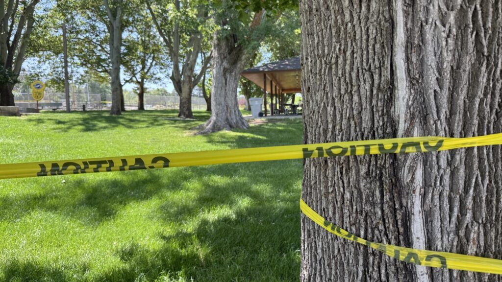 Falling tree branch kills 1, injures another in Perry Park