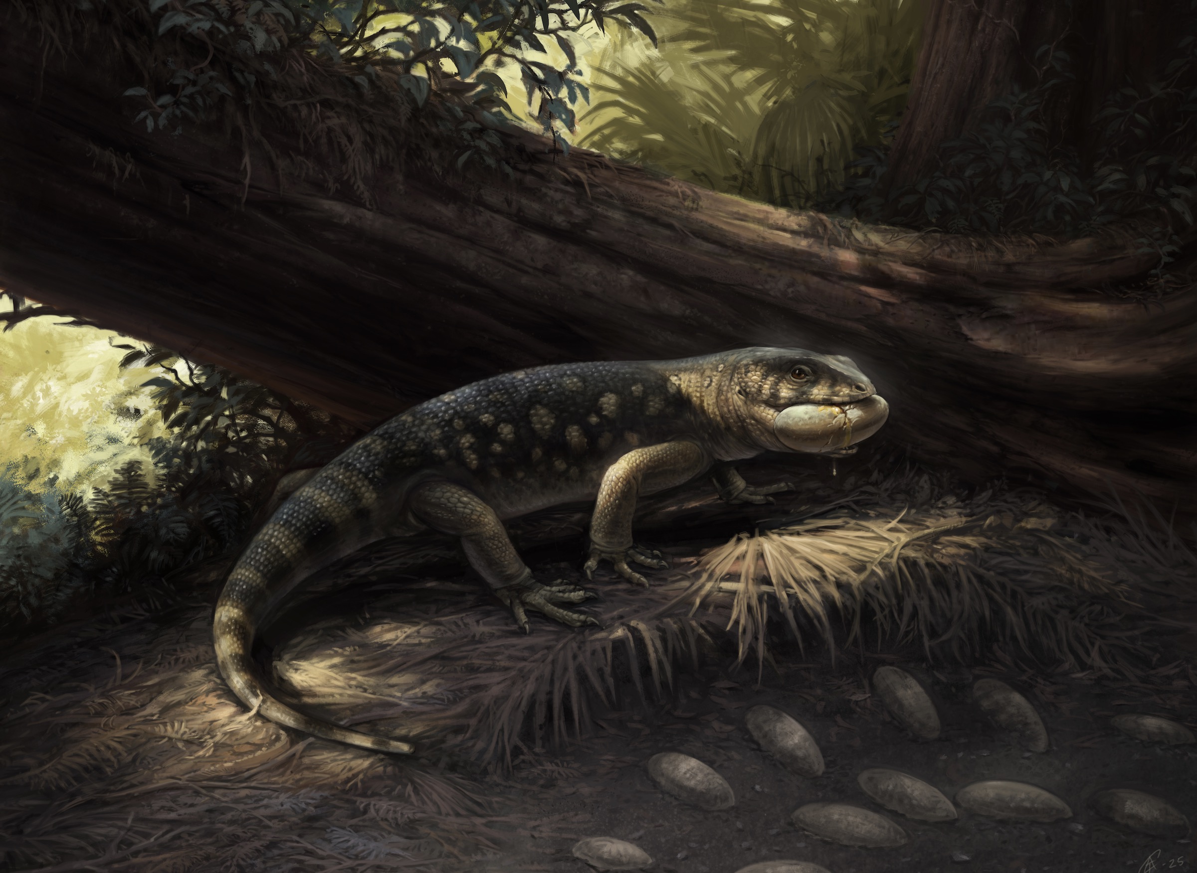 Previously unknown 76M-year-old, raccoon-sized monstersaur species discovered in Utah