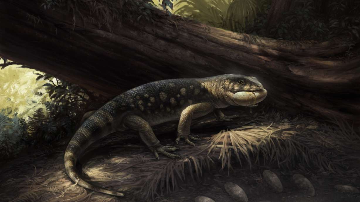 An artist rendering of Bolg amondol roaming the Kaiparowits Formation in Utah back when it would have been a subtropical floodplain, 76 million years ago. The previously unknown species was identified in a study published on Tuesday.