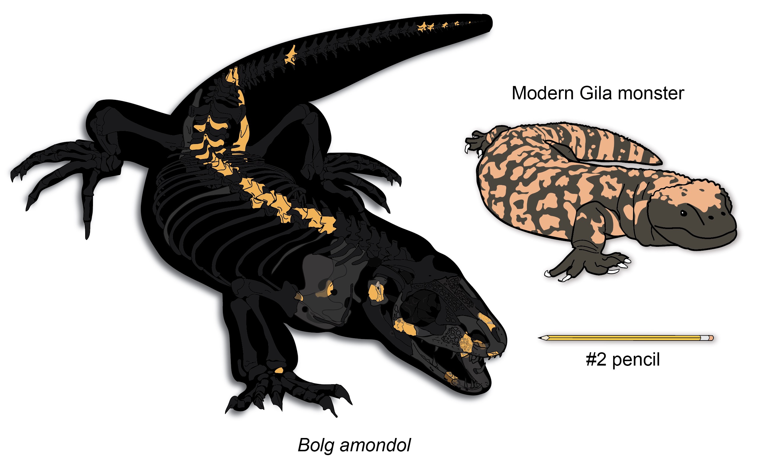 In the past unknown 76M-year-old, raccoon-sized dinosaur species found out in Utah