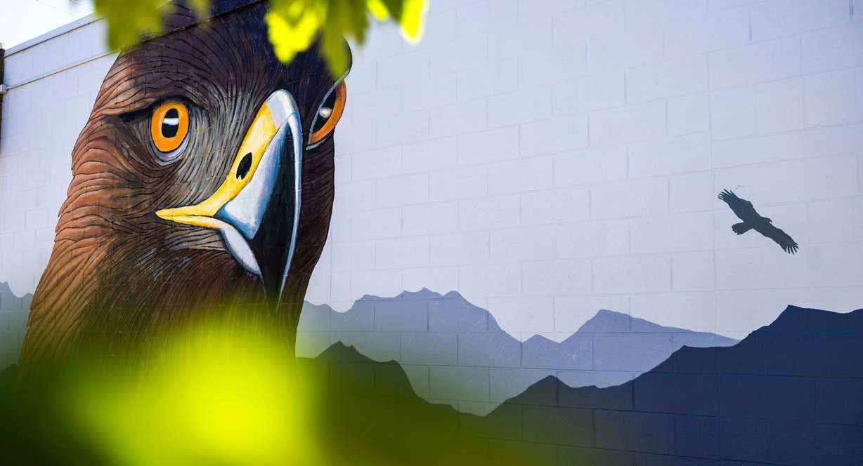 Chris Peterson’s "Hawkwatch" mural on the side of Hawkwatch’s office building in Salt Lake City on June 4. Peterson was already incorporating nature into his art before launching Wildlife Walls.