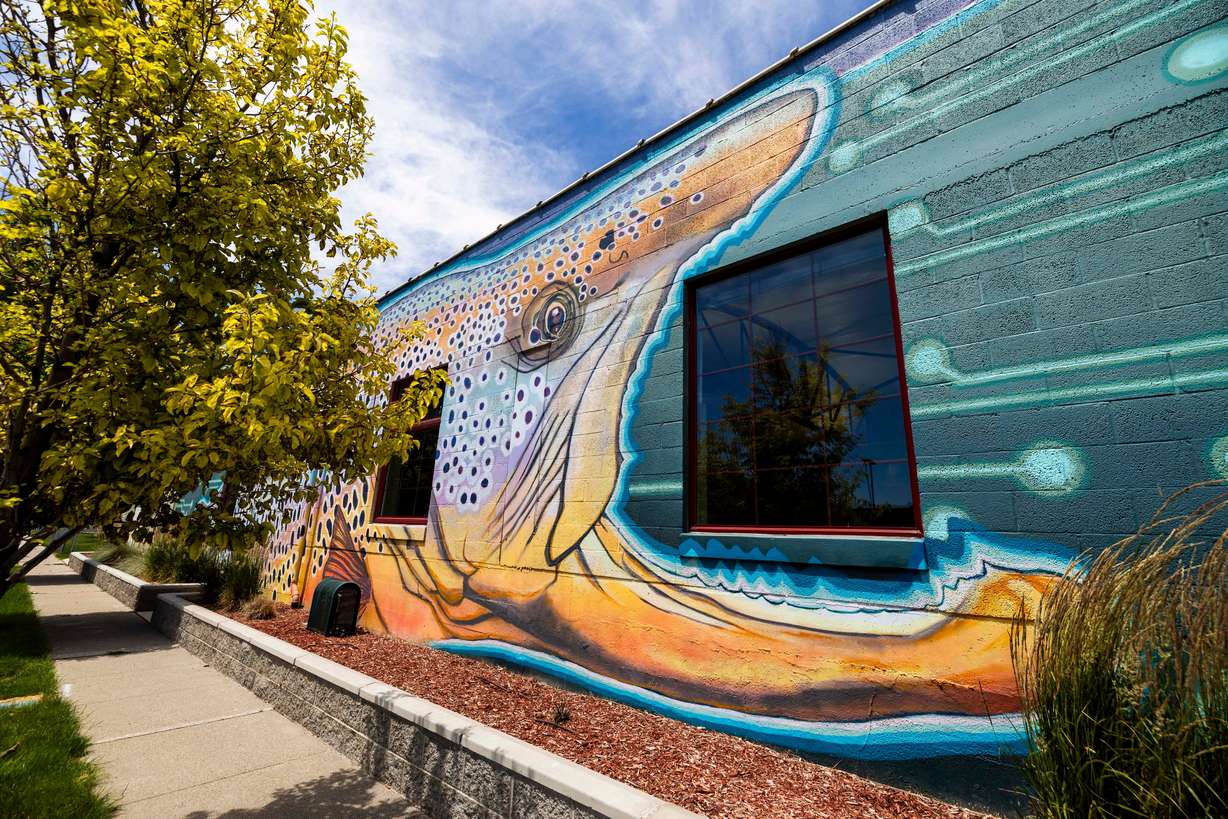 Chris Peterson’s "Frogwater" mural is pictured in South Salt Lake on June 4. Peterson used his background in community work to find collaborators for the project.
